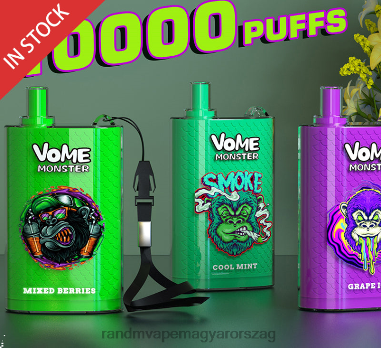 RandM Vome Monster 10000 légáramlás szabályozó vape pod készülék 1db buja jég 8426F277 RandM Disposable Vape